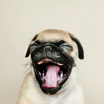 开云体育专属客服代表